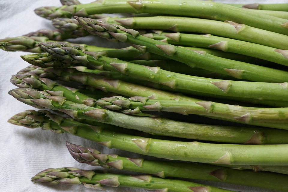 11 Foods You Should Eat Before A Night Of Drinking